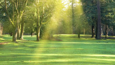 Sunset Memory Gardens